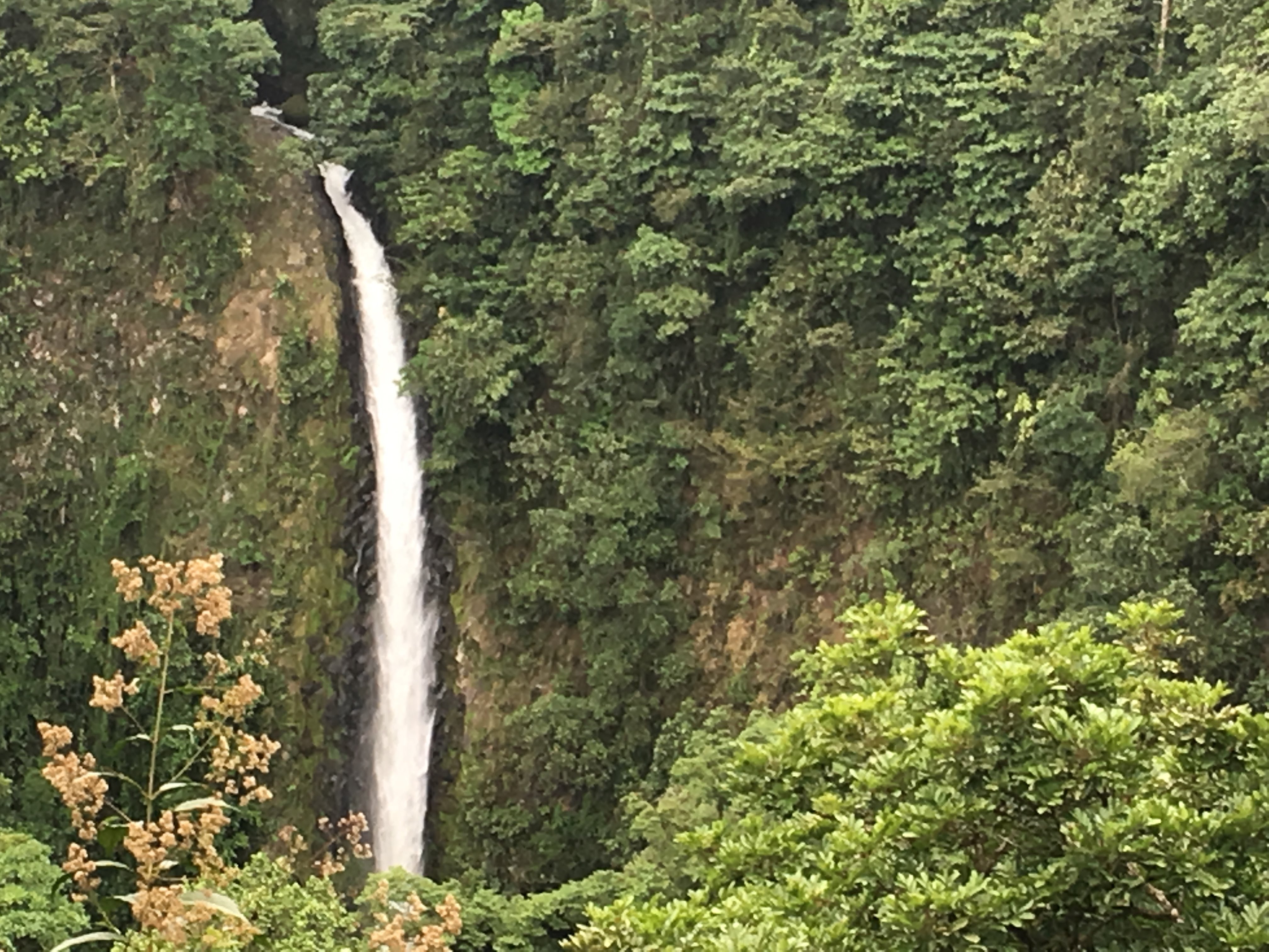 La Fortuna Waterfall, from a distance