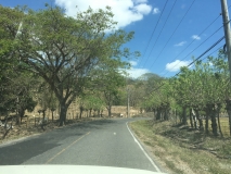 70. Montezuma. The return drive. Paquera Road _)