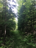 Penokee Mountain Trail