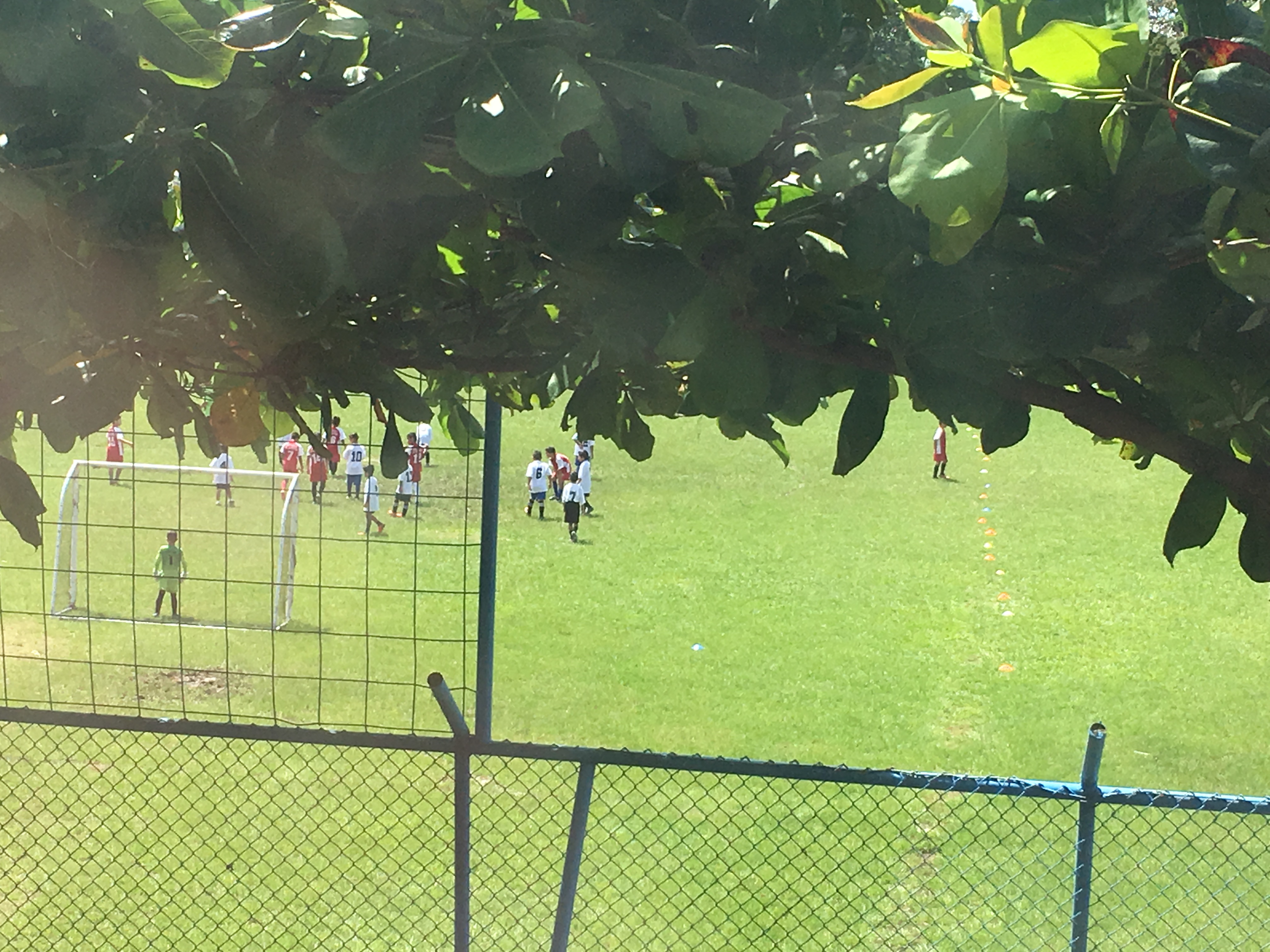 A local boys soccer game